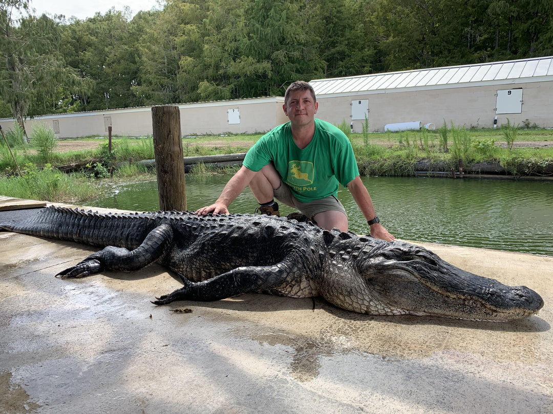 Alligator Hunt - Trophy Gators