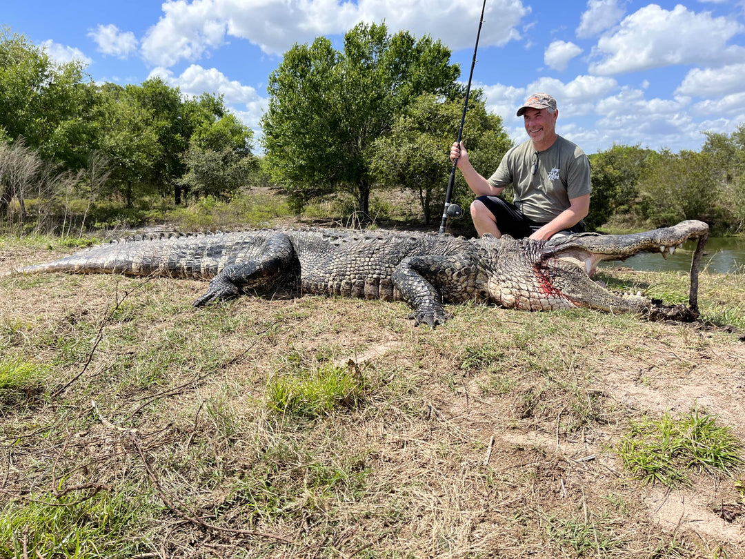 Is It Legal to Hunt Alligators In Florida?