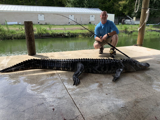 Alligator Hunt - Trophy Gators