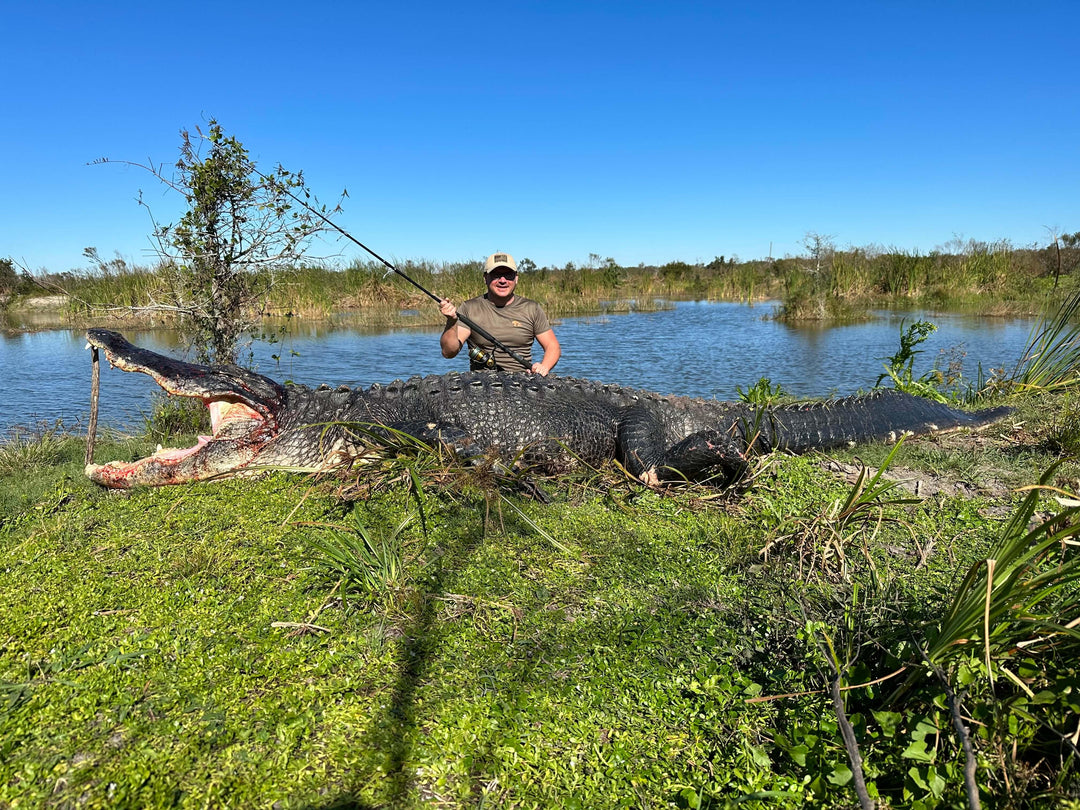 a person holding fishing pole next to massive alligator 