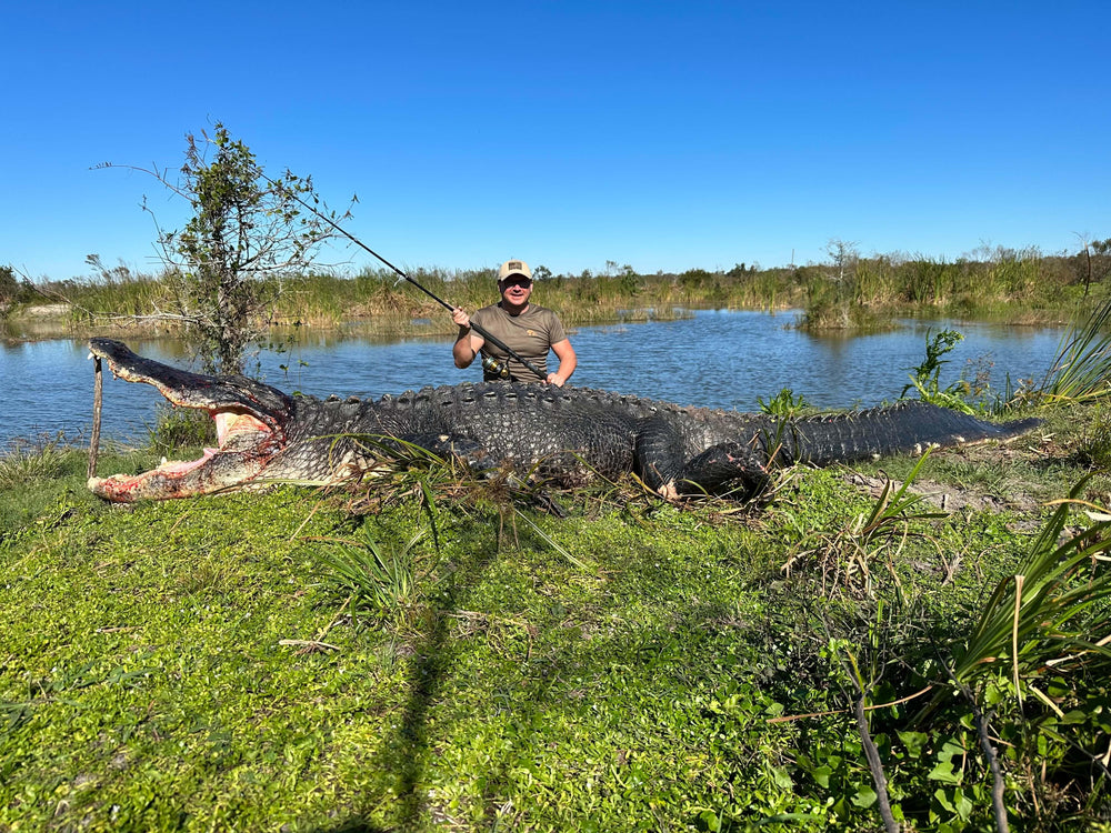 a person holding fishing pole next to massive alligator 