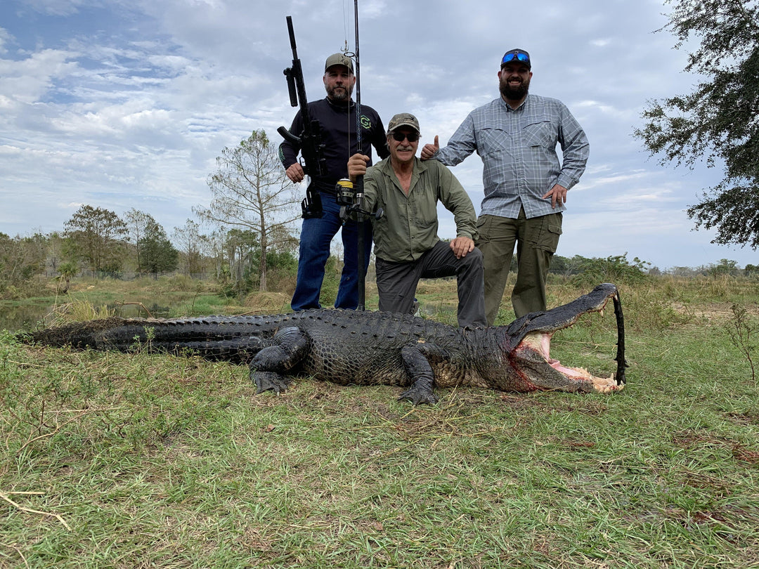 Florida Alligator Hunt