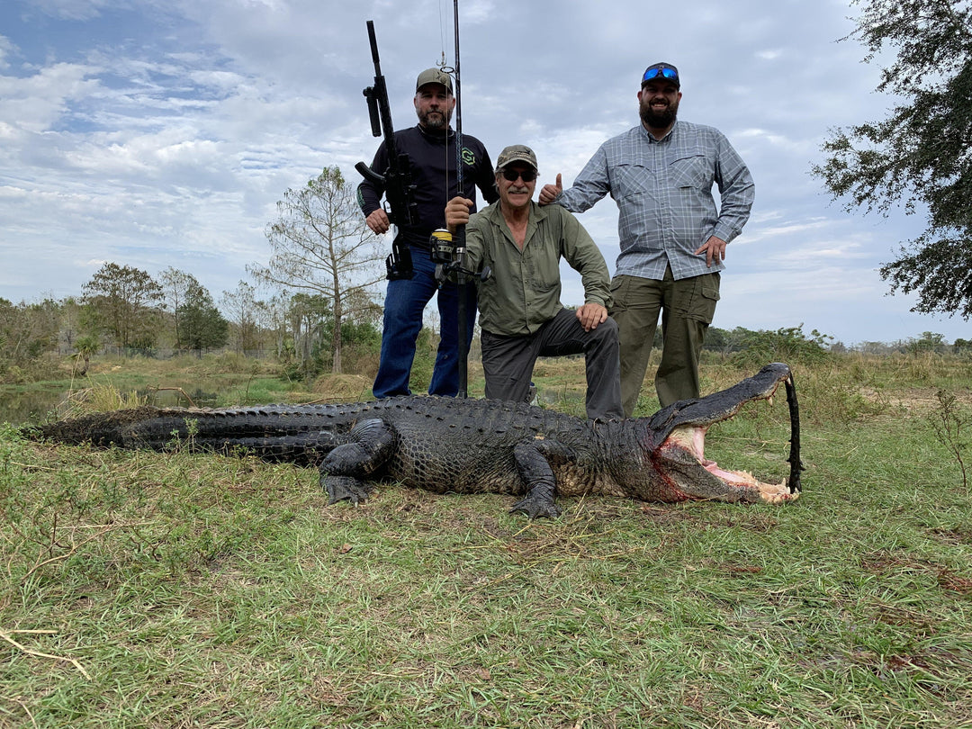 Florida Alligator Hunts